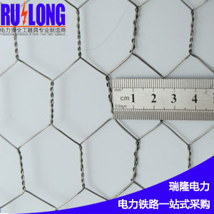 RL-FNW2不锈钢防鸟网